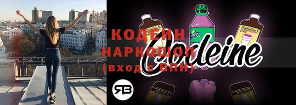 МДПВ Дмитриев