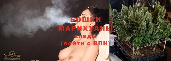 твердый Шали