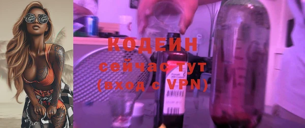 МДПВ Дмитриев