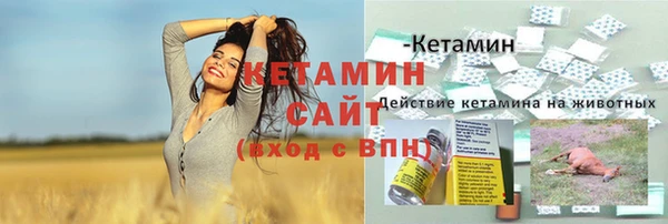 МДПВ Дмитриев