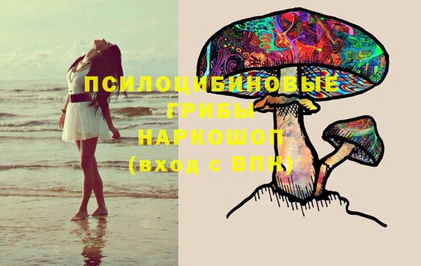 гашиш Елизово